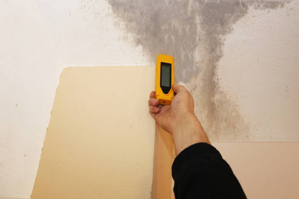 Best Residential Mold Inspection & Testing  in Oakland, CA