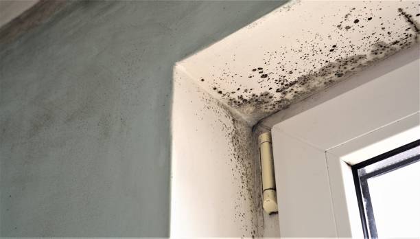 Best Mold Prevention Services  in Oakland, CA