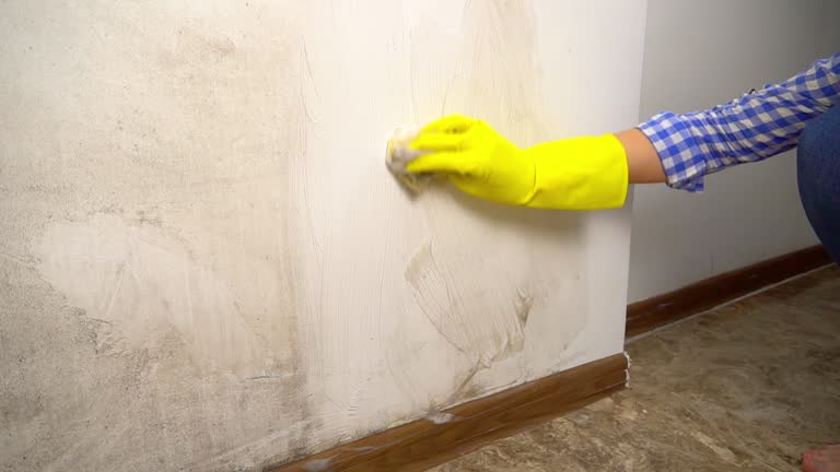 Best Asbestos and Lead Testing During Mold Inspection  in Oakland, CA