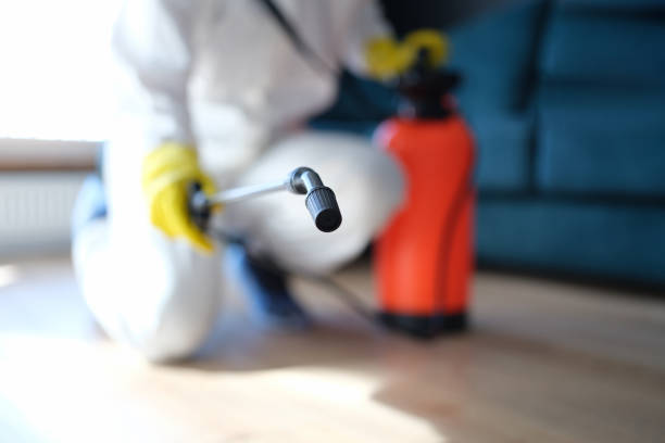 Best Comprehensive Air Testing for Mold Contaminants  in Oakland, CA