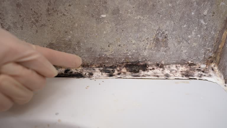Best Post-Remediation Verification Testing  in Oakland, CA