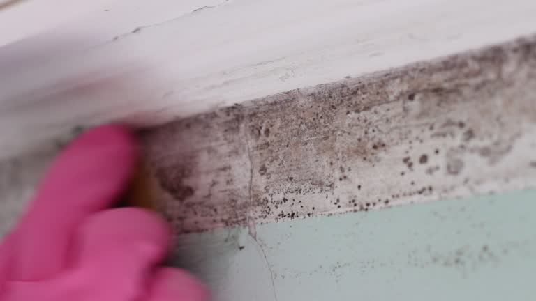 Best Airborne Mold Testing  in Oakland, CA